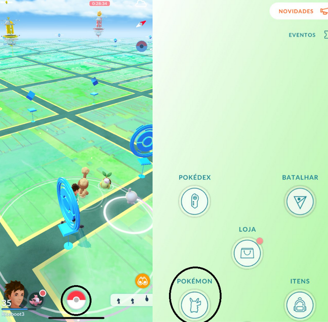 Pokémon GO: Onde capturar Pokémon de cada tipo para completar a Pokédex -  Millenium