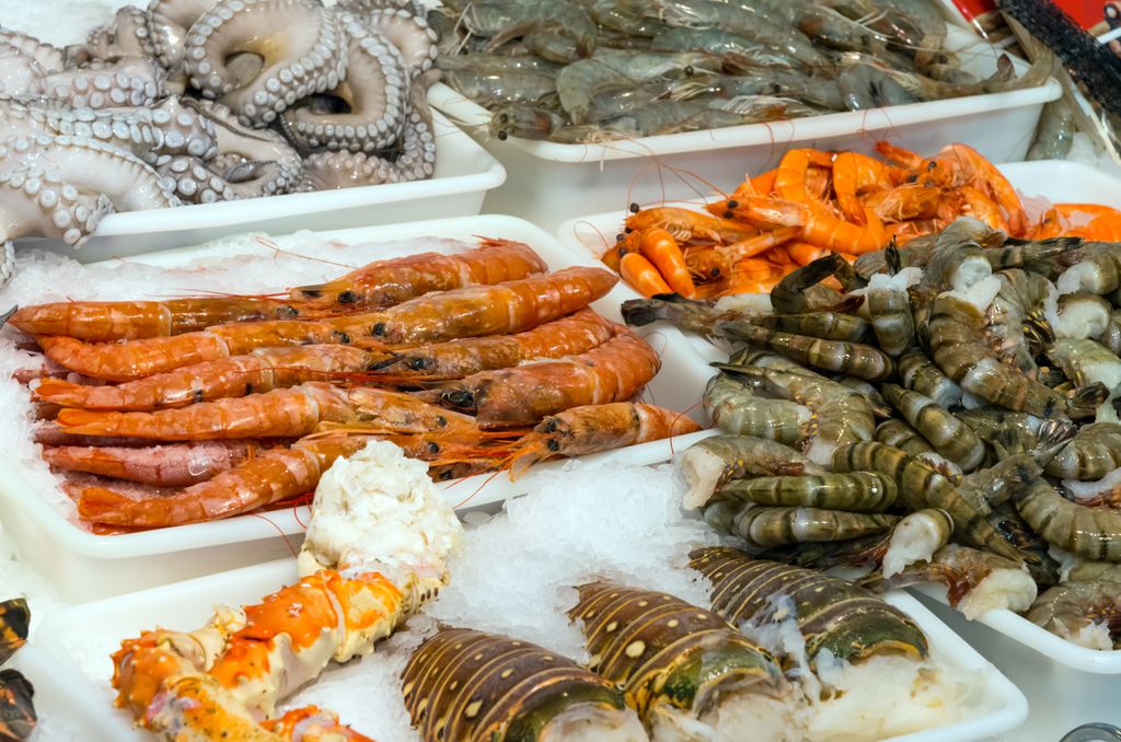 Relatório conclui que moluscos e crustáceos devem ser tratados como seres conscientes. (Foto: Elxeneize/Envato Elements)