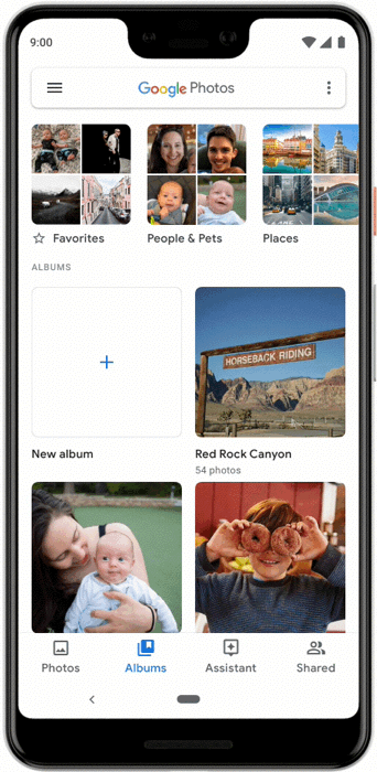 Google lança ferramenta para compartilhamento de fotos em tempo real
