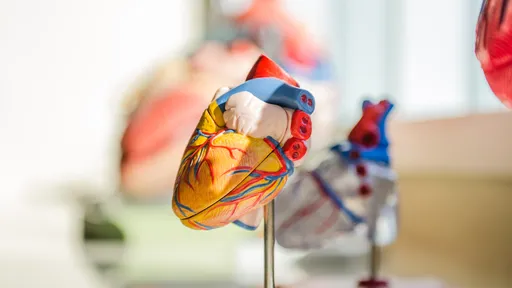 Cientistas descobrem nova forma de detectar doenças cardiovasculares 