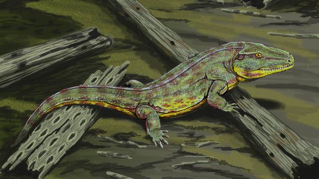 Dmitry Bogdanov/CC-BY-3.0