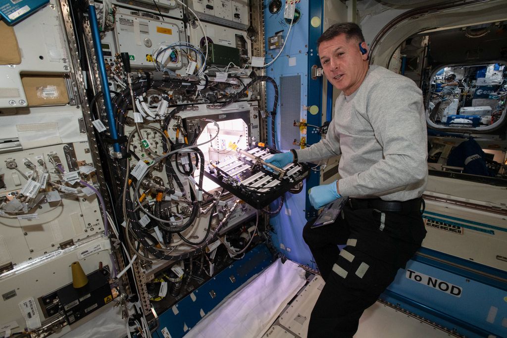 O astronauta Shane Kimbrough, da NASA, inserindo as 48 sementes no laboratório (Imagem: Reprodução/NASA)