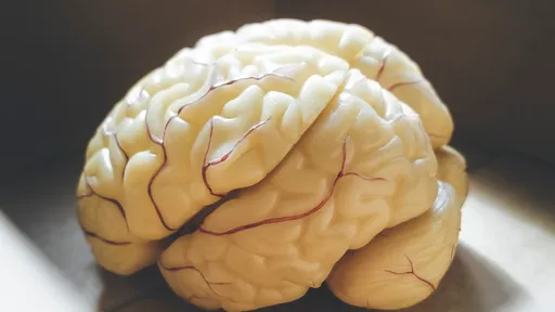 Nova droga promove "limpeza" no cérebro e protege do Alzheimer; entenda