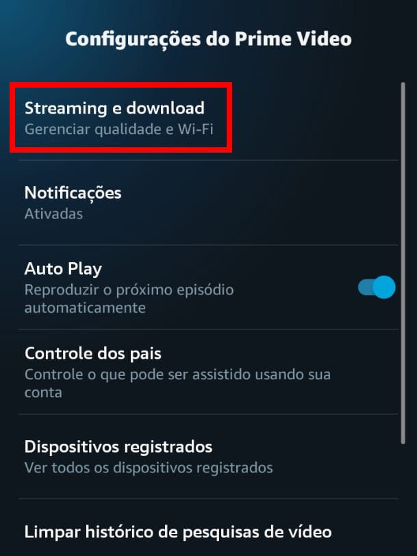 Toque sobre o item "Streaming e download" (Captura de tela: Matheus Bigogno)