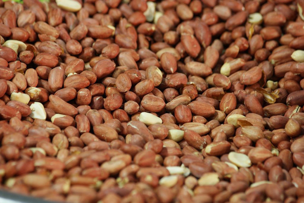 Amendoim é um dos alimentos que mais causam alergias alimentares (Imagem: Reprodução/Stockfilmstudio/Envato Elements)