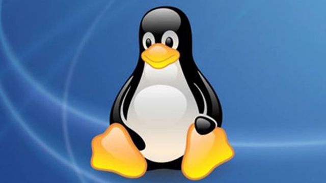 Estudo mostra que 83% das empresas executam Linux em seus servidores