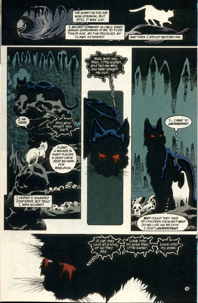 Morpheus em sua forma felina, em uma das histórias que atravessam os quadrinhos (Imagem: Reprodução/Vertigo)