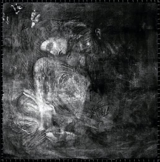Raio-X revelando a pintura escondida (Imagem: Reprodução/University College London)