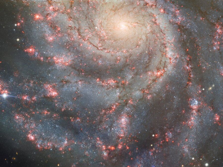 Supernova mais próxima da Terra ganha imagem esplêndida - Canaltech