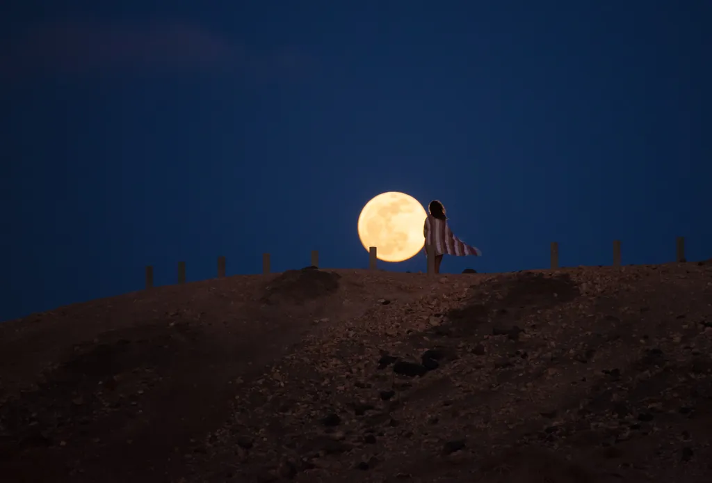 Seria a Lua cheia capaz de deixar as pessoas "malucas"? (Imagem: Nigentili/Envato)