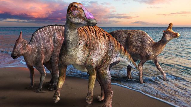 DINOSAUR WORLD - Review + Principais diferenças do Ilha dos Dinossauros