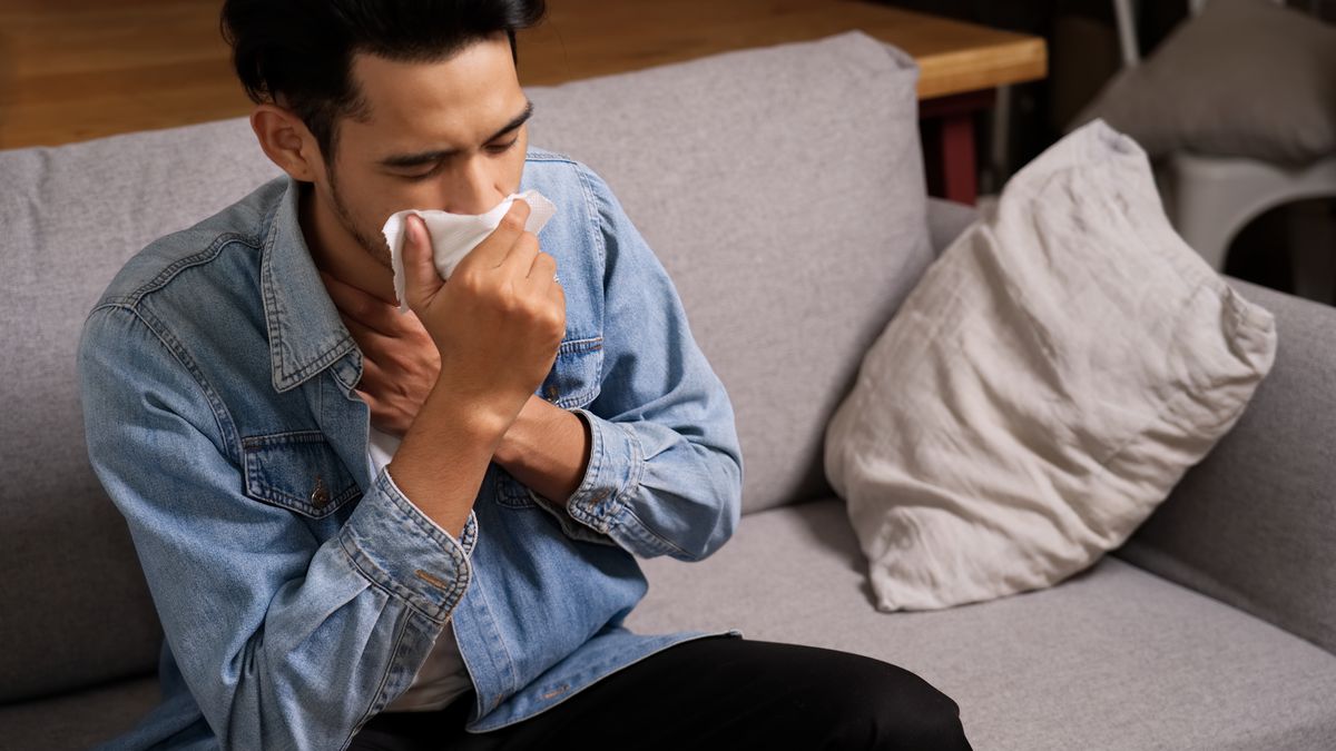 Quais são os sintomas da gripe aviária em humanos? De quadros leves a graves