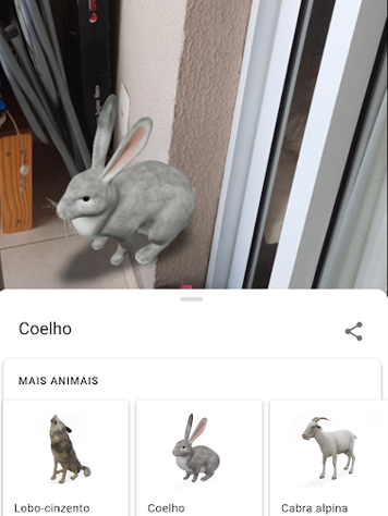 O coelho figura entre as espécies com modelos em 3D (Imagem: André Magalhães/Captura de tela)
