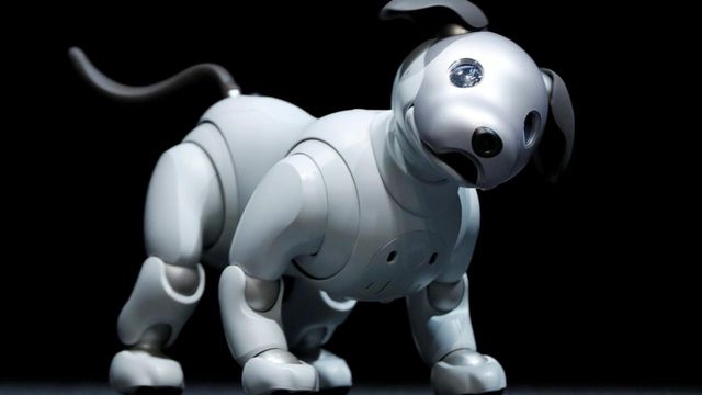 Você também vai querer o cachorro robótico da Sony para ser seu novo pet