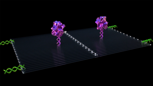 Reprodução/ASU Biodesign Institute