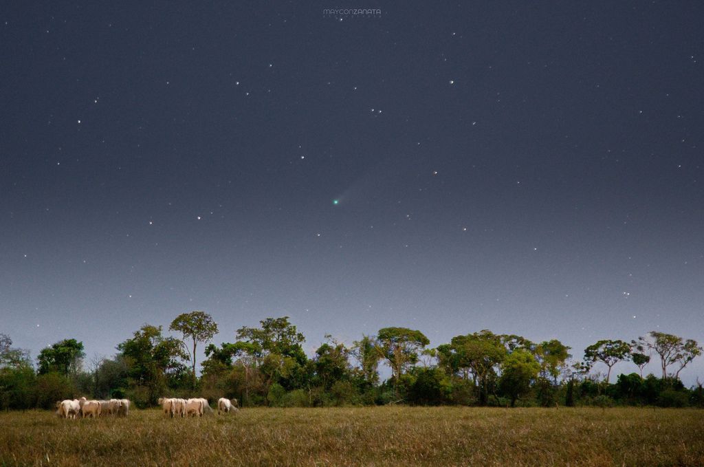 Foto incrível tirada em fazenda no Mato Grosso do Sul (Foto: Reprodução/Maycon Zanata)