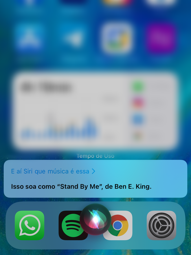 Com a fala escrita ativada, o resultado da busca também vai aparecer na sua conversa com a Siri. Captura de tela: Lucas Wetten (Canaltech)