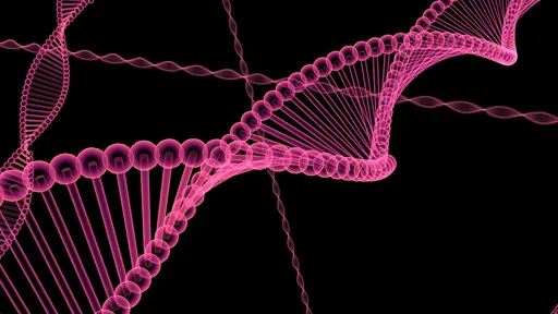 Afinal, existe um "gene gay" no DNA humano? Veja o que diz a ciência