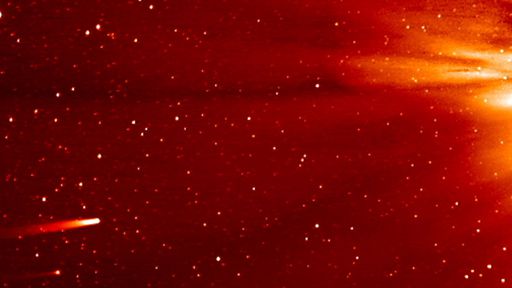 Vídeo | Veja um cometa evaporar-se completamente ao atingir o Sol