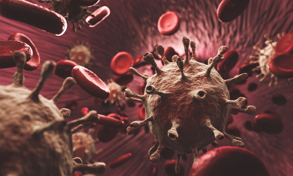 Células T podem ajudar mulheres a resistirem mais em casos de infecção por coronavírus (Imagem: Reprodução/Photocreo/Envato Elements)