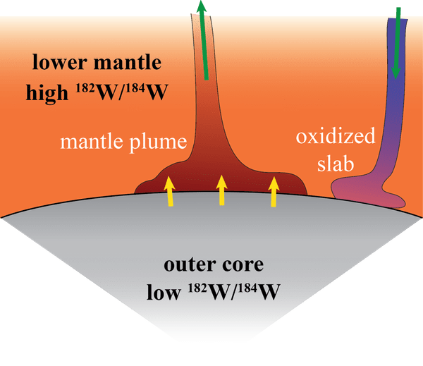 Diferenças nas proporções de isótopos de tungstênio entre o núcleo da Terra e o manto, e como o núcleo da Terra pode estar vazando material para as plumas do manto. (Imagem: Neil Bennett)