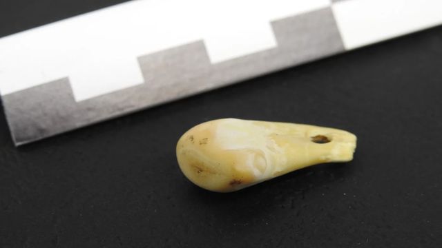 MPI for Evolutionary Anthropology