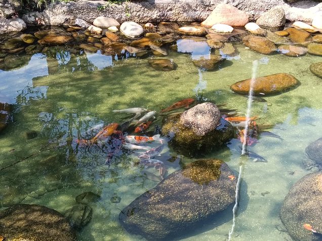 Fotos tiradas com o Oppo A5 Pro