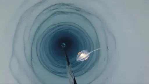 Formas misteriosas de vida são encontradas abaixo do gelo da Antártida