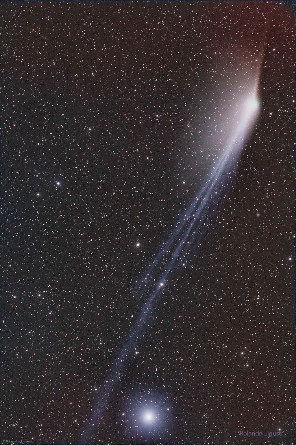 Cometa 12P e sua cauda dupla (Imagem: Reprodução/Rolando Ligustri & Lukas Demetz)