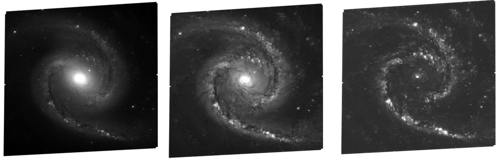 A galáxia NGC 1566, em três comprimentos de onda diferentes, capturados pelo Hubble em 2013 (Imagem: Hubble Space Telescope/STScI/Daniele Cavalcante