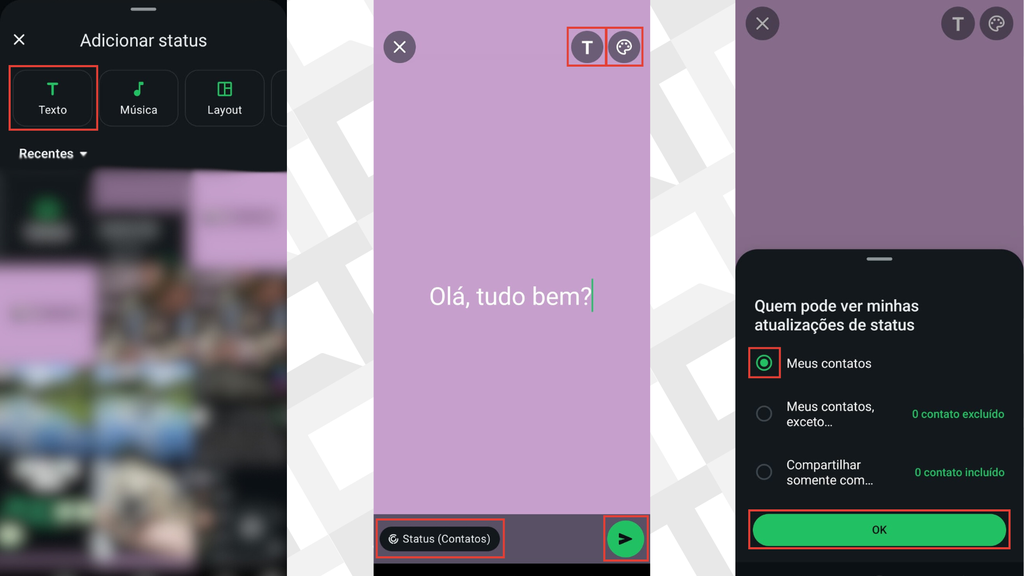 Passos para publicar um status com texto