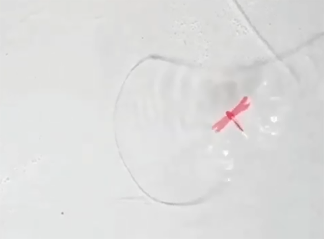 Leve e sem componentes eletrônicos, a "libélula" flua sobre a água (Imagem: Divulgação/Duke University)