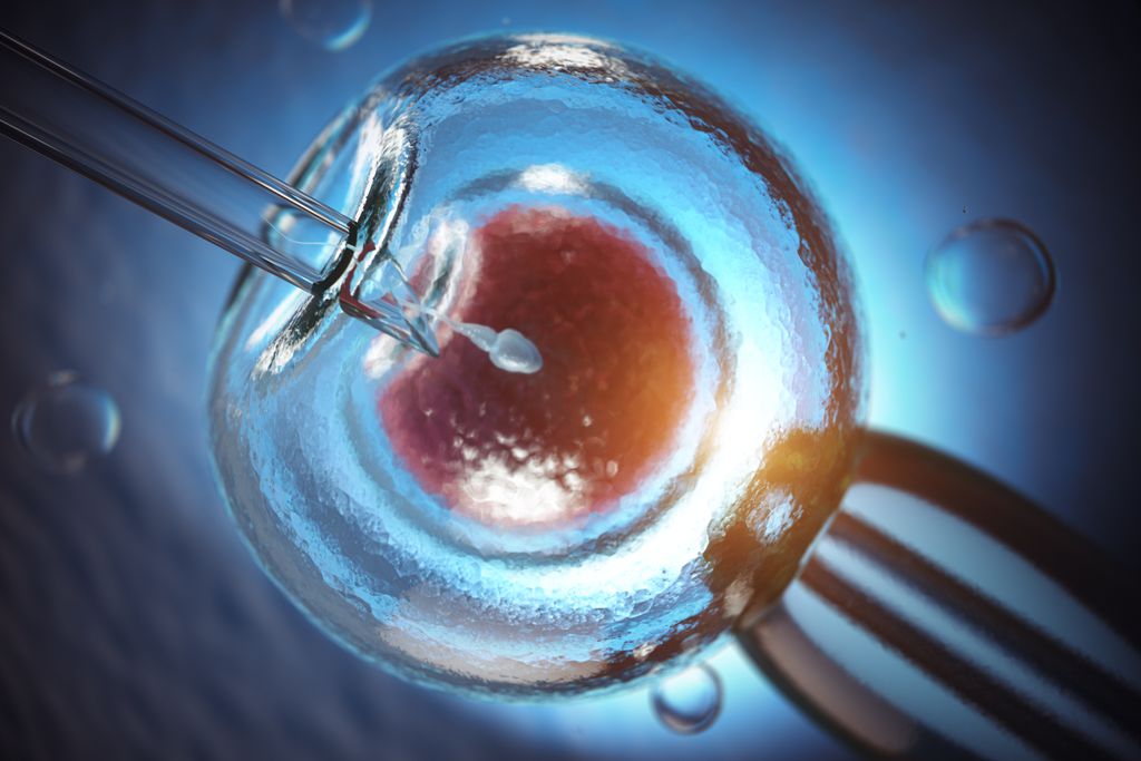 Com novas diretrizes sobre a pesquisa com embriões, pesquisadores poderão desenvolvê-los por mais de 14 dias em laboratório (Imagem: Reprodução/Maxxyustas/Envato Elements)