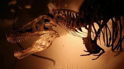 Tudo o que você sabe sobre extinção dos dinossauros pode ser uma farsa