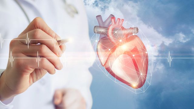 Cientistas transformaram células-tronco em tecido cardíaco — e transplantaram!