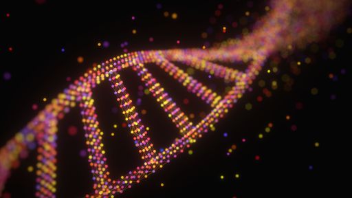 Medicina do futuro: testes de DNA pedidos online funcionam? São seguros?