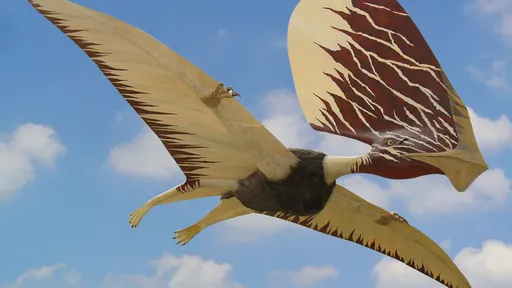 Fóssil brasileiro indica que pterossauros provavelmente tinham penas coloridas