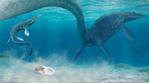 Primeiros dinossauros botavam ovos moles como os de tartarugas, diz estudo