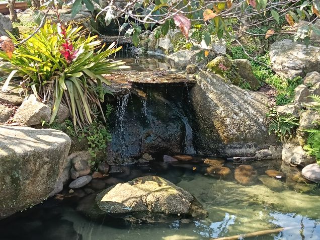 Fotos tiradas com o Oppo A5 Pro