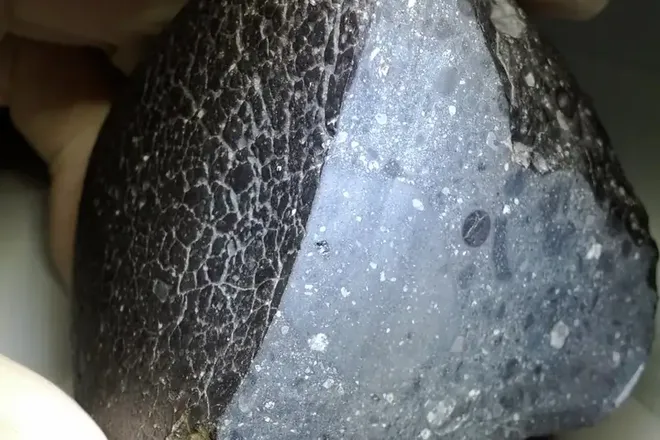 O meteorito marciano NWA 7034 (Imagem: Reprodução/Carl Agee/University of New Mexico/NASA)