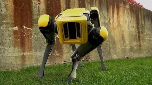Cão-robô "esquisitão" da Boston Dynamics deve chegar neste ano ao mercado