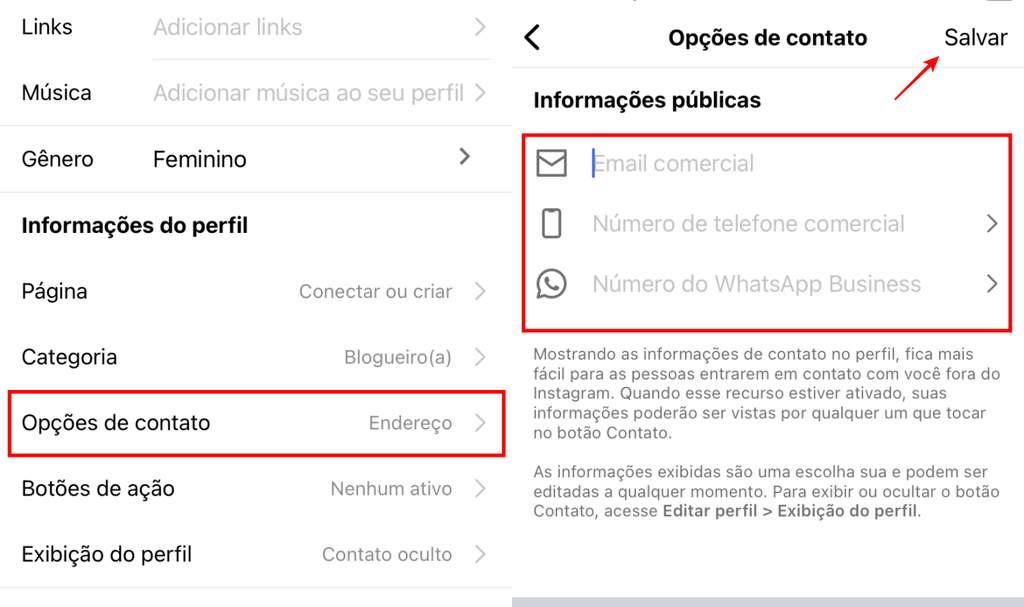 O Instagram permite editar as opções de contato que aparecem na sua bio (Imagem: Captura de tela/Fabrício Calixto/Canaltech)