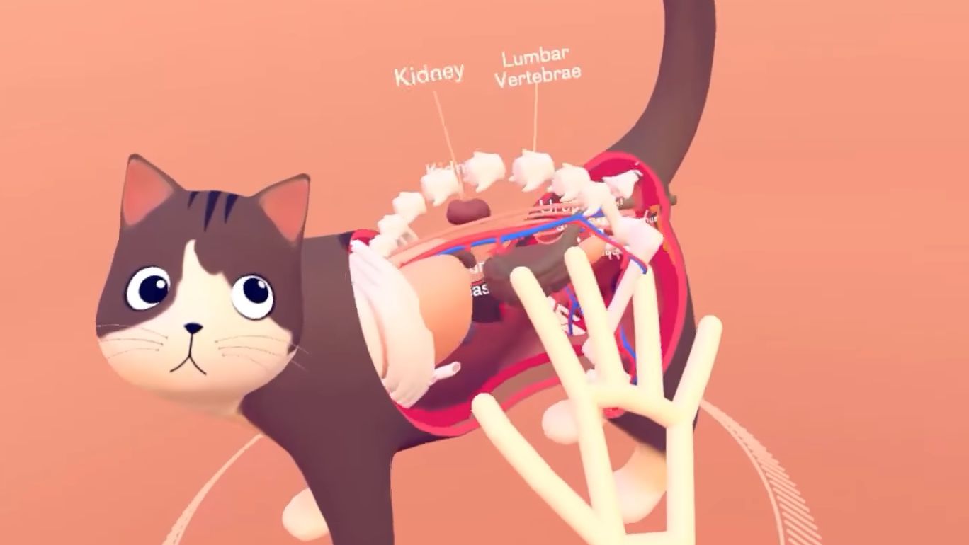 A Evolução Dos Gatos: O Espaço – Apps no Google Play