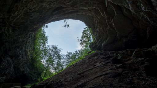 Humanos teriam chegado às Américas 15 mil anos antes do que se pensava