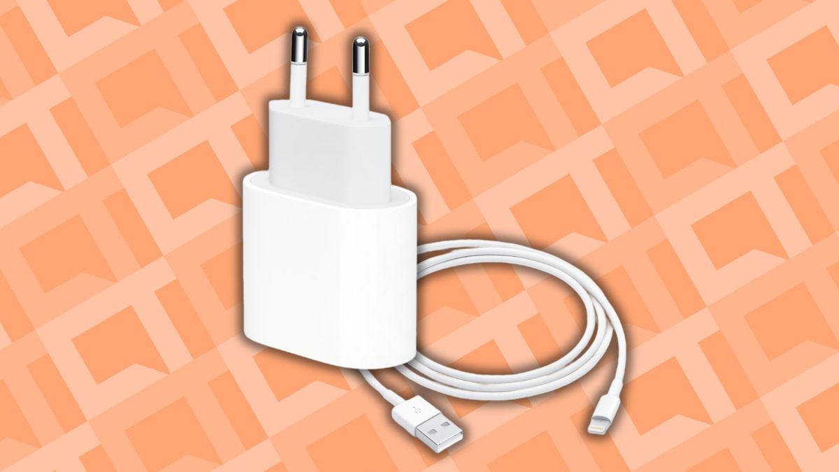 Quanto as marcas economizam cortando carregador da caixa?