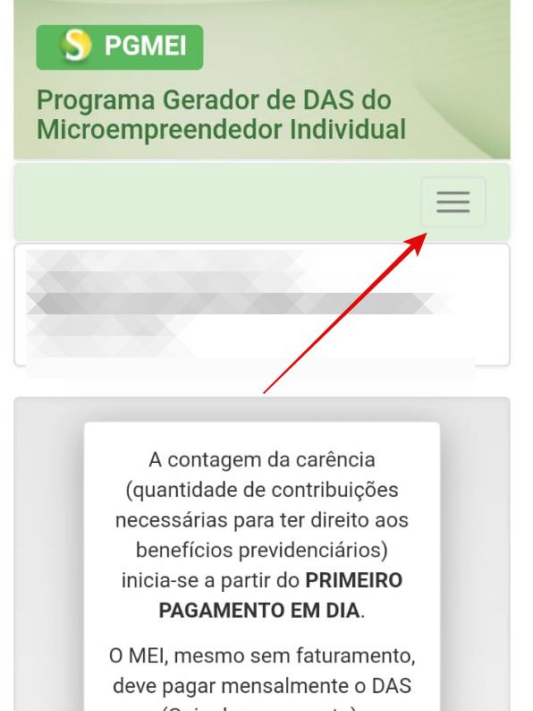 Acesse o menu para pagar o DAS (Imagem: Guadalupe Carniel/Captura de tela)