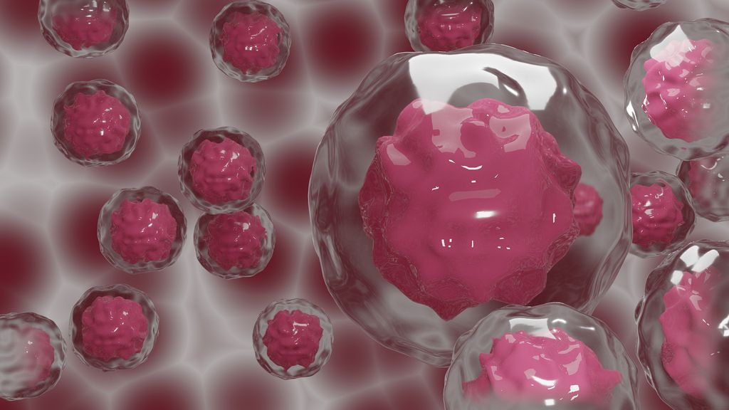 As células-tronco podem ser programadas para se tornarem qualquer célula no corpo, sendo essenciais para a criação ou recriação de qualquer animal (Imagem: Doodlartdotcom/Pixabay)