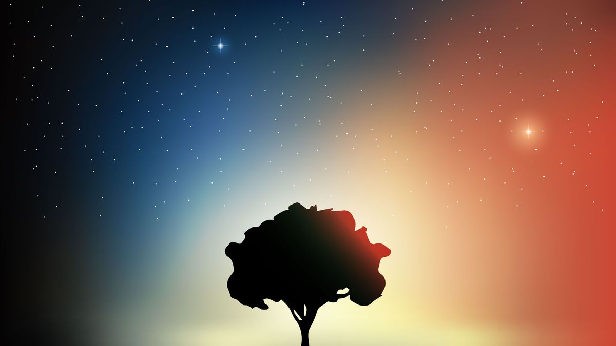 Estrelas São Astros Iluminados - RETOEDU