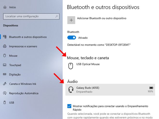Utilize as seções indicadas para gerenciar todos os dispositivos adicionados no sistema (Captura de tela: Matheus Bigogno)
