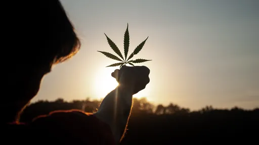 Nova Iorque aprova lei que autoriza o uso de cannabis de forma recreativa
